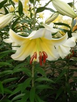 [4147 ConcaDor EVR No202.JPG]